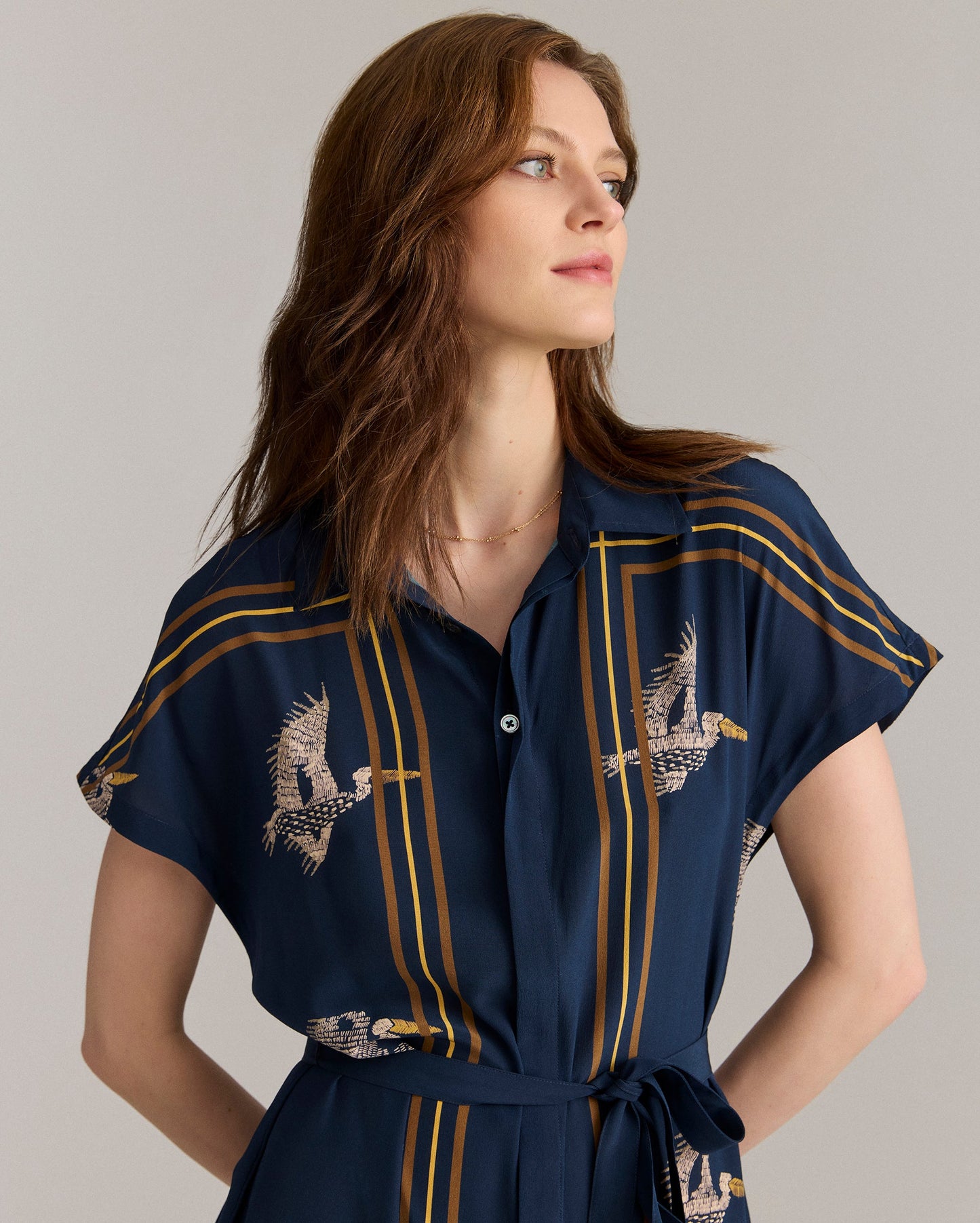 Silk Pelican Scarf Print Shirt Dress Navy/Gold Billy Reid