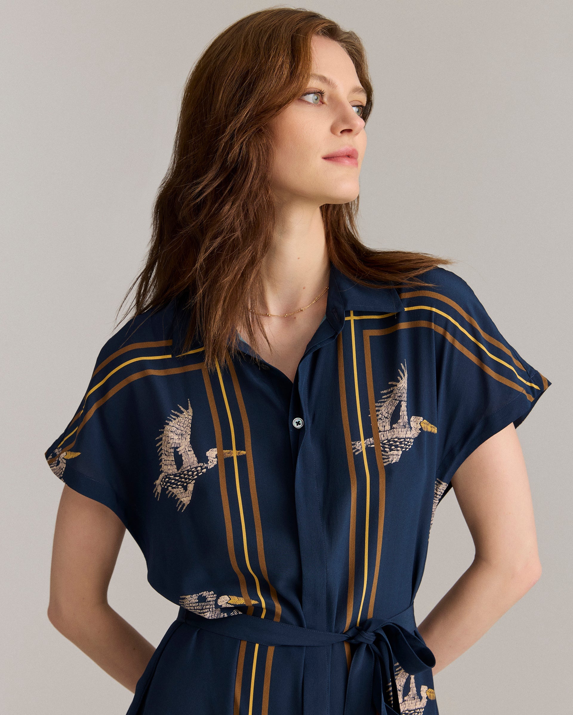 Silk Pelican Scarf Print Shirt Dress Navy/Gold Billy Reid